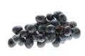 Purple Grapes Royalty Free Stock Photo