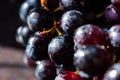 Purple grapes close-up in water droplets. Grape berries in selective focus Royalty Free Stock Photo