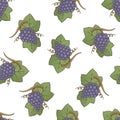 Purple Grapes Pattern