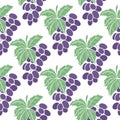Purple grapes vector seamless pattern Royalty Free Stock Photo