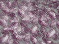 Purple and gray colored coconut texture background Royalty Free Stock Photo
