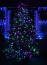 Purple, green and blue Christmas lights on Christmas tree and windows