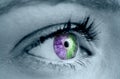 Purple and green eye on grey face Royalty Free Stock Photo