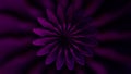 Purple and green flower in abstraction. Motion. Flowers with petals spin in 3d format expanding and narrowing creating a Royalty Free Stock Photo