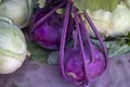 Bright purple Kolibri Kohlrabi at an outdoors vegetable farmers market ready to be bought and sold