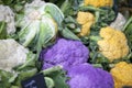 The Purple, Green, Orange Cauliflower at the farmers market Royalty Free Stock Photo