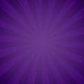 Purple grunge background texture. Sunburst, light rays effect. Explosion and radiate violet beams. Vector illustration