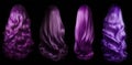 Purple hair set - isolated black background - Ideal for hair saloons and any other beauty