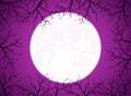 Purple Halloween Background with Moon and Trees Royalty Free Stock Photo