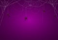 Purple Halloween Background with Spiders