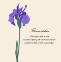 Purple hand drawn iris flower on light beige background