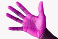 Purple Handed Orignal