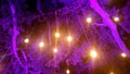 Purple hanging lights