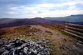 Purple heather of Great Calva Royalty Free Stock Photo