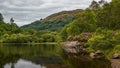 Purple heather at Loch Chon