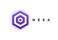 Purple Hexagon Concept Logo vector