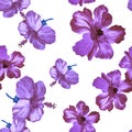 Purple Hibiscus Textile. Vanilla Flower Illustration. Lavender Seamless Texture. Pink Vintage Wallpaper. Pattern Jungle. Watercolo