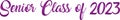 Purple Horizontal Senior Class of 2023 copy