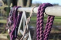 Purple horse tack on a fence