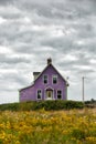 Purple house in a yellow field Royalty Free Stock Photo