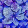 Purple Hydrangea Flower, Dramatic Oil Painting Art Effect