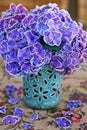 Purple hydrangea flowers Royalty Free Stock Photo