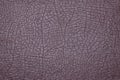 Purple imitation leather book cover background texture. High resolution image or macro