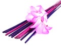 Purple incense and pink cactus flower Royalty Free Stock Photo