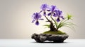 Purple Iris Bonsai Tree: Minimalist Confucian Ideology In Natural Planter