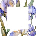 Purple iris floral botanical flower. Watercolor background illustration set. Frame border ornament square. Royalty Free Stock Photo