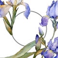 Purple iris floral botanical flower. Watercolor background illustration set. Frame border ornament square. Royalty Free Stock Photo