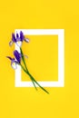 Purple Iris Flower Abstract Background Frame Royalty Free Stock Photo