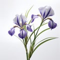 Colorized Iris Flowers: Uhd Image In The Style Of Rihanna