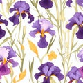 Beautiful Purple Iris Flowers Seamless Pattern On White Background Royalty Free Stock Photo