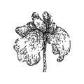 purple iris sketch hand drawn vector