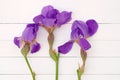 Purple irises on a white wooden background.