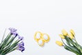 Purple irises, yellow tulips and nest with Easter eggs on white Royalty Free Stock Photo