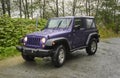 Purple Jeep Wrangler parked in rain on roadside turnout