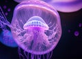 A purple jellyfish closeup view. Generative AI Royalty Free Stock Photo