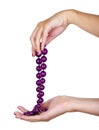 purple jewelry Royalty Free Stock Photo