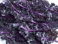 Purple Kale