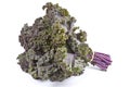 Purple Kale Royalty Free Stock Photo