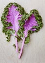 Purple kale leaves Royalty Free Stock Photo