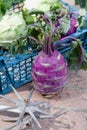 Purple kohlrabi cabbage stands in front of box close-up Royalty Free Stock Photo