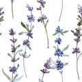 Purple lavander floral botanical flower. Watercolor background illustration set. Seamless background pattern. Royalty Free Stock Photo