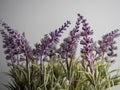 Purple Lavender Artificial Plant Up Close in a Macro Shot with White Background