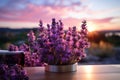 Purple lavender beauty, aromatherapy essential oils complement the panoramic view Royalty Free Stock Photo