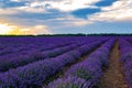 Purple lavender field sunbeams through clouds Bulgaria Royalty Free Stock Photo