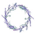 Purple lavender. Floral botanical flower. Wild spring leaf wildflower. Frame border ornament square. Royalty Free Stock Photo