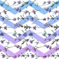 Purple lavender floral botanical flower. Watercolor background illustration set. Seamless background pattern.